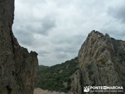 Parque Nacional Monfragüe - Reserva Natural Garganta de los Infiernos-Jerte;puente de la constituci